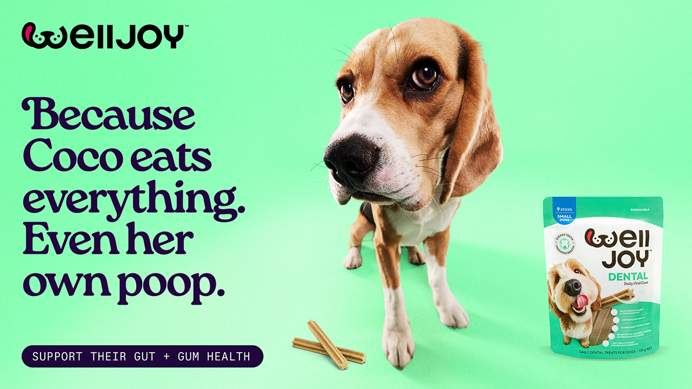 WellJoy Campaign photography by Tracey Lee Hayes